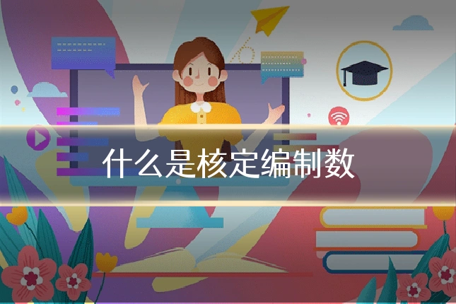 什么是核定编制数