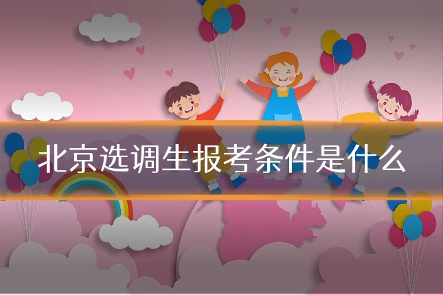 北京选调生报考条件是什么