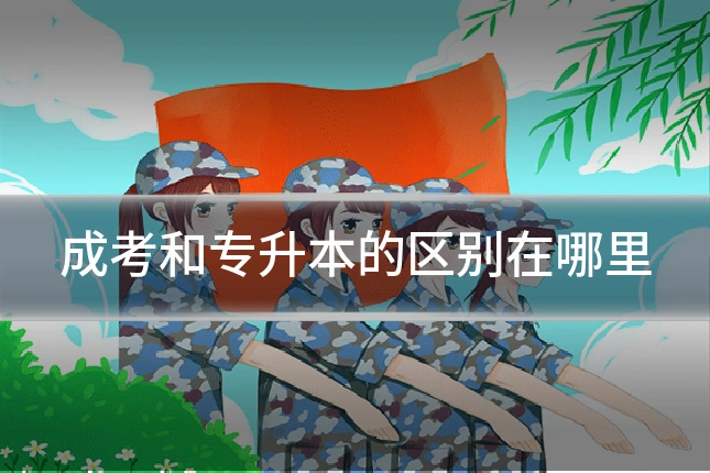 成考和专升本的区别在哪里