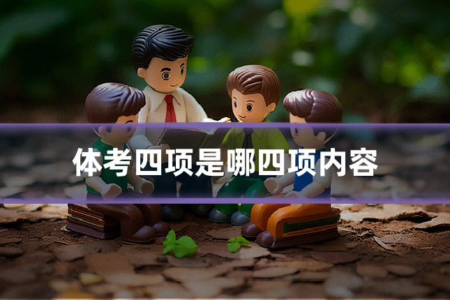体考四项是哪四项内容