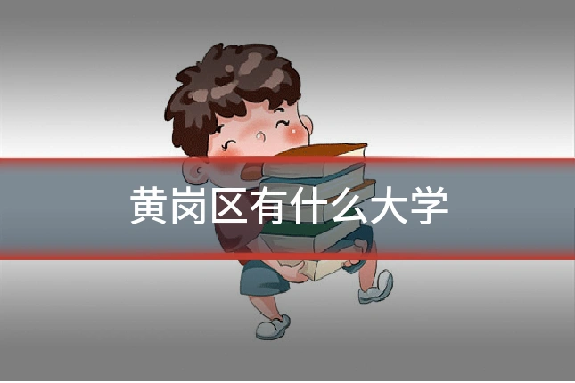 黄岗区有什么大学