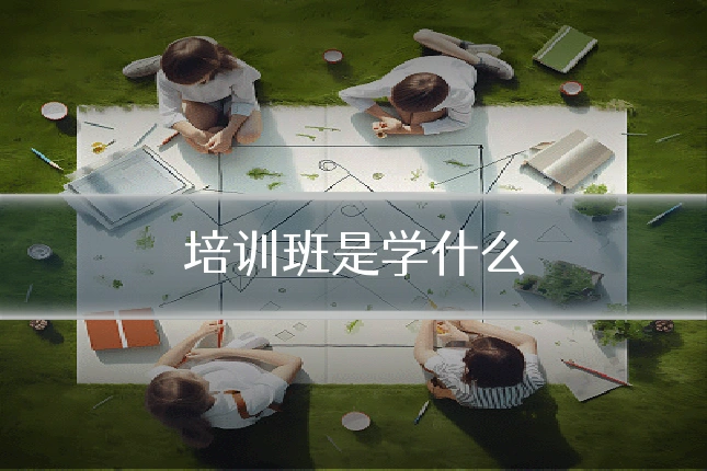 培训班是学什么
