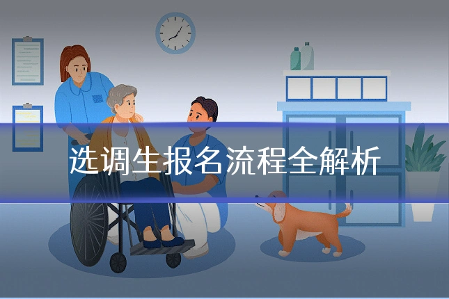 选调生报名流程全解析