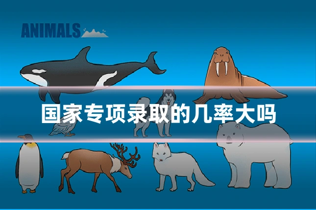 国家专项录取的几率大吗