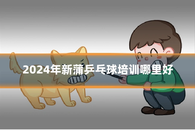 2024年新蒲乒乓球培训哪里好