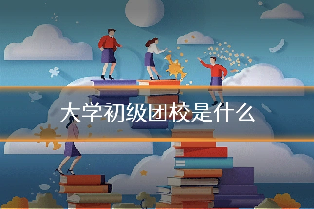 大学初级团校是什么