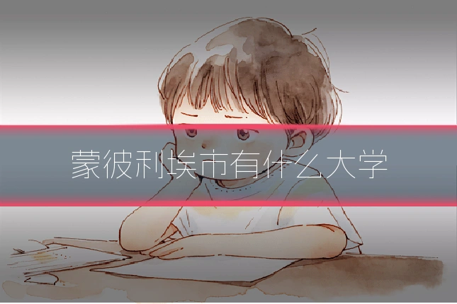 蒙彼利埃市有什么大学