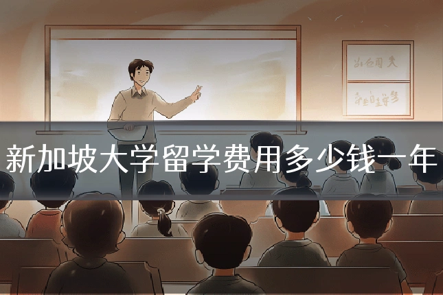 新加坡大学留学费用多少钱一年