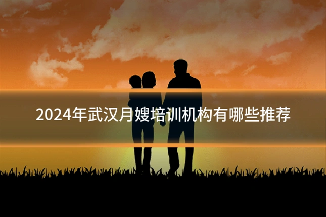 2024年武汉月嫂培训机构有哪些推荐