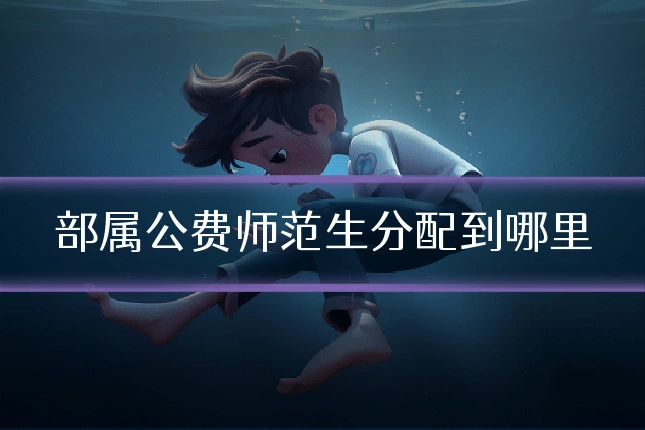 部属公费师范生分配到哪里