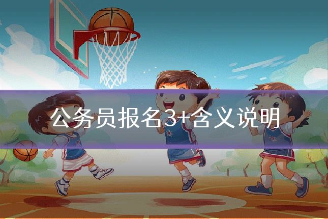 公务员报名3+含义说明