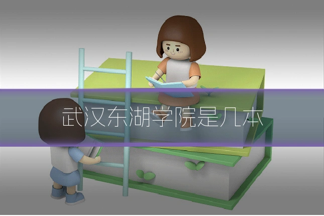武汉东湖学院是几本