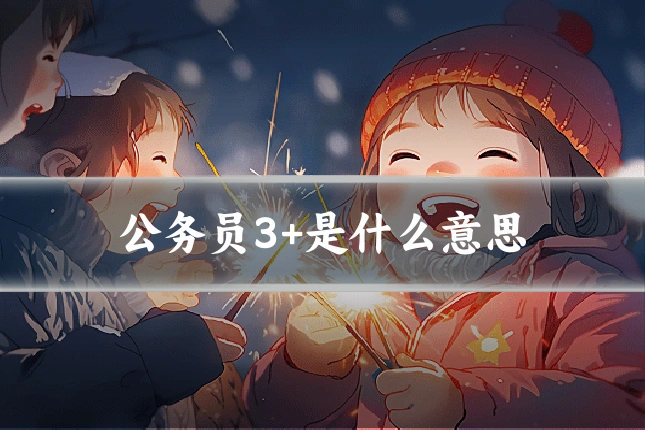 公务员3+是什么意思