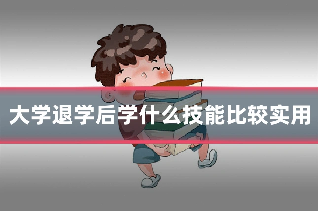 大学退学后学什么技能比较实用