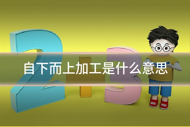 自下而上加工是什么意思