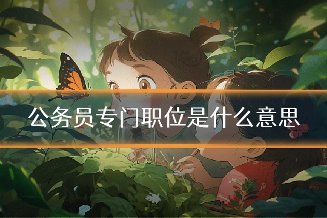 公务员专门职位是什么意思
