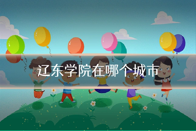 辽东学院在哪个城市