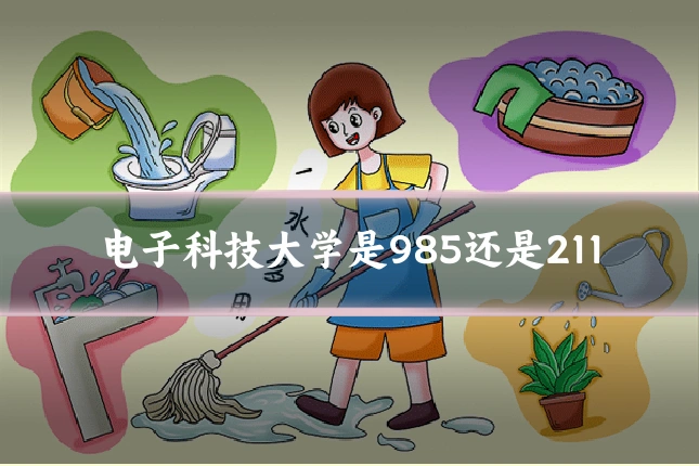 电子科技大学是985还是211