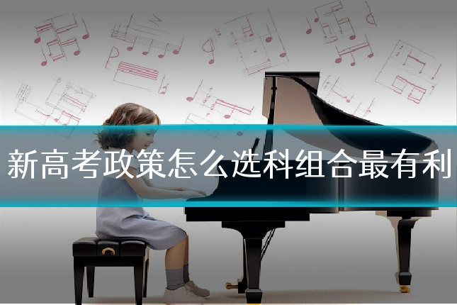 新高考政策怎么选科组合最有利