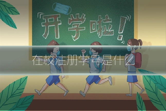 在校注册学号是什么
