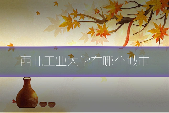 西北工业大学在哪个城市