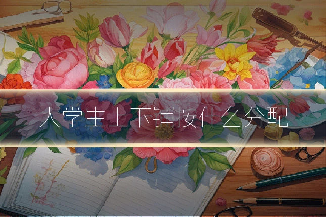 大学生上下铺按什么分配