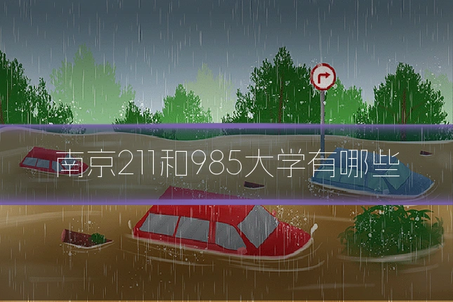 南京211和985大学有哪些