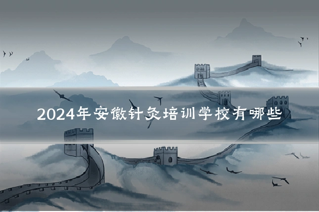 2024年安徽针灸培训学校有哪些
