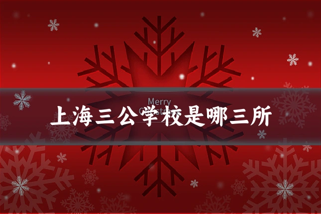 上海三公学校是哪三所
