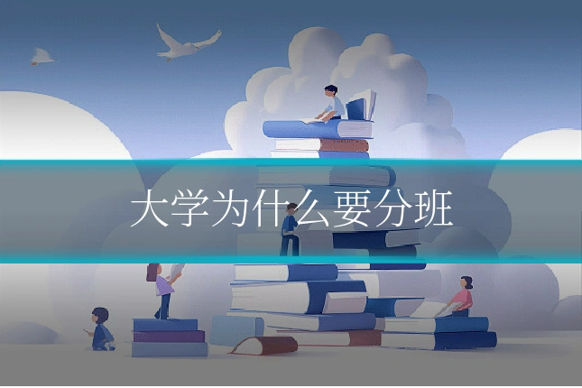 大学为什么要分班