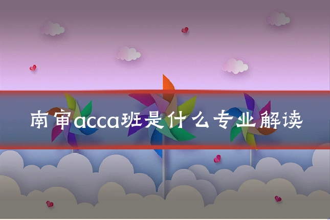 南审acca班是什么专业解读