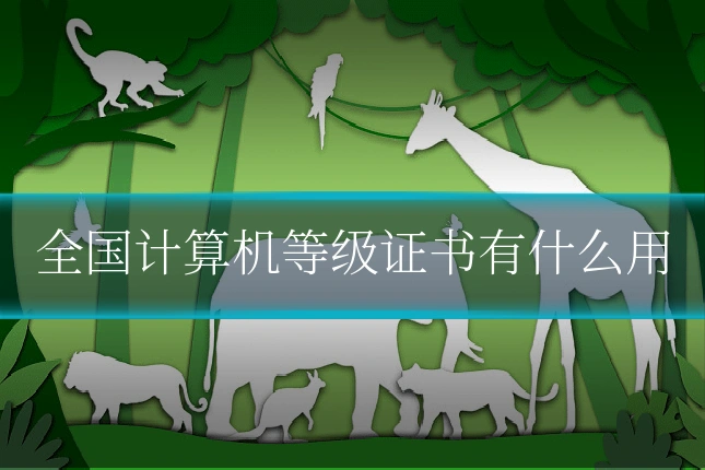 全国计算机等级证书有什么用