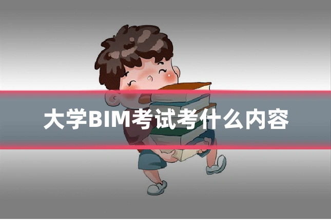 大学BIM考试考什么内容