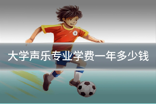 大学声乐专业学费一年多少钱