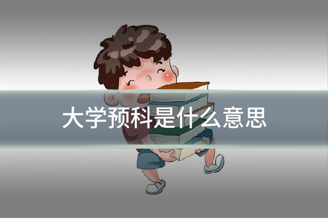 大学预科是什么意思