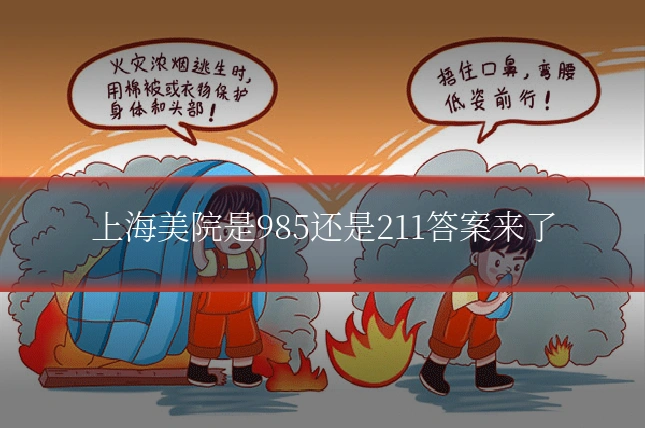 上海美院是985还是211答案来了