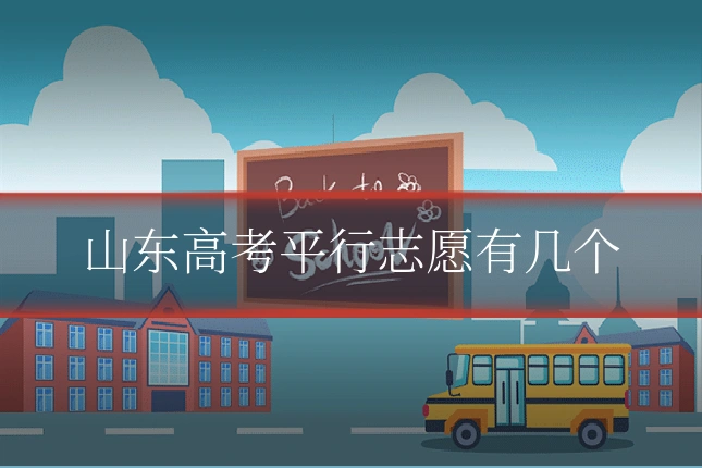 山东高考平行志愿有几个