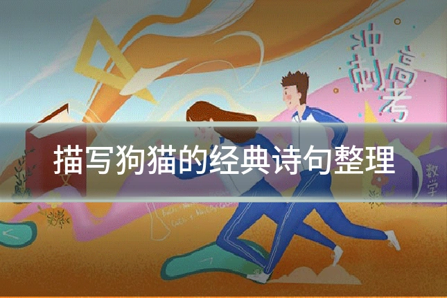 描写狗猫的经典诗句整理