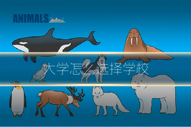 大学怎么选择学校