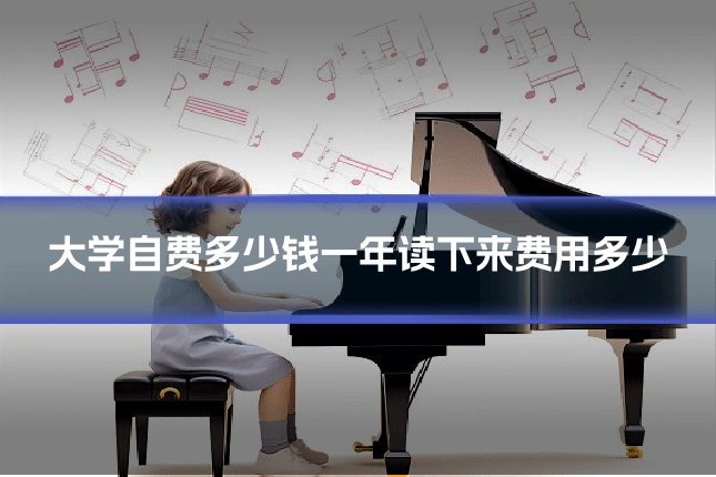 大学自费多少钱一年读下来费用多少