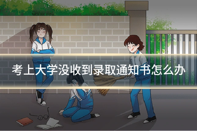 考上大学没收到录取通知书怎么办