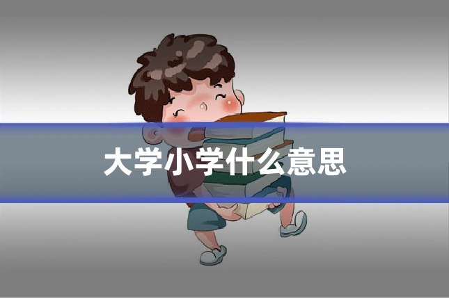 大学小学什么意思