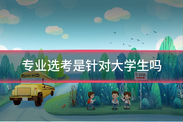 专业选考是针对大学生吗