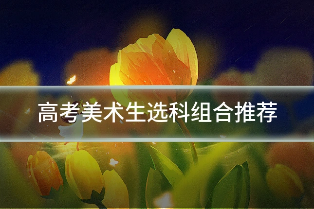 高考美术生选科组合推荐