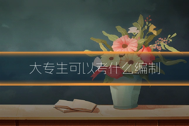 大专生可以考什么编制