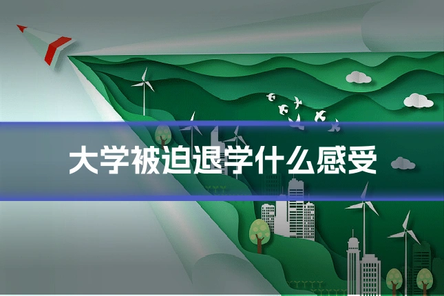 大学被迫退学什么感受