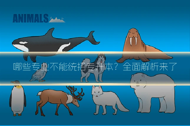 哪些专业不能统招专升本？全面解析来了
