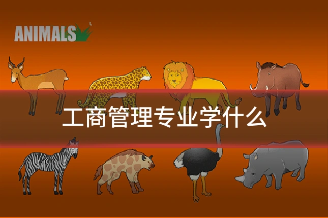 工商管理专业学什么