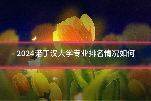 2024诺丁汉大学专业排名情况如何