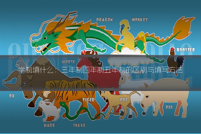 学制填什么：三年制四年制五年制的区别与填写方法